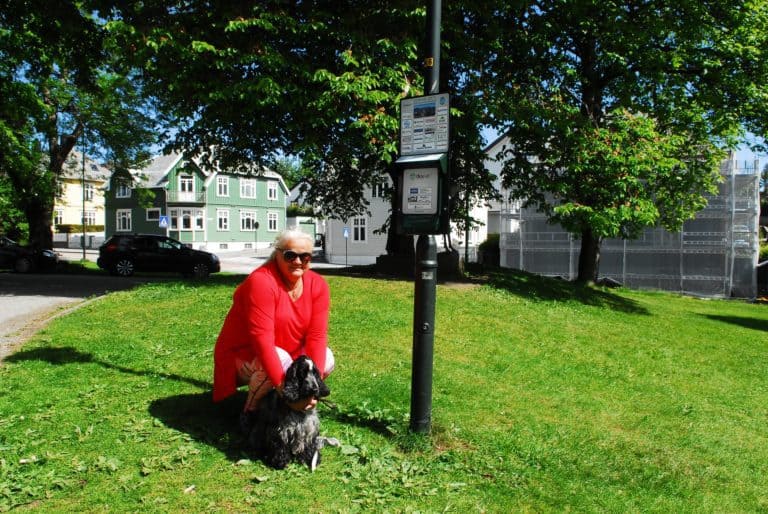 Hundebæsjeposer er på plass