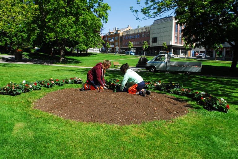 Pynter byen vakker med blomster