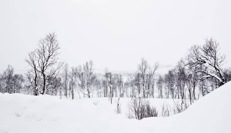 Snøskredfare flere steder i landet