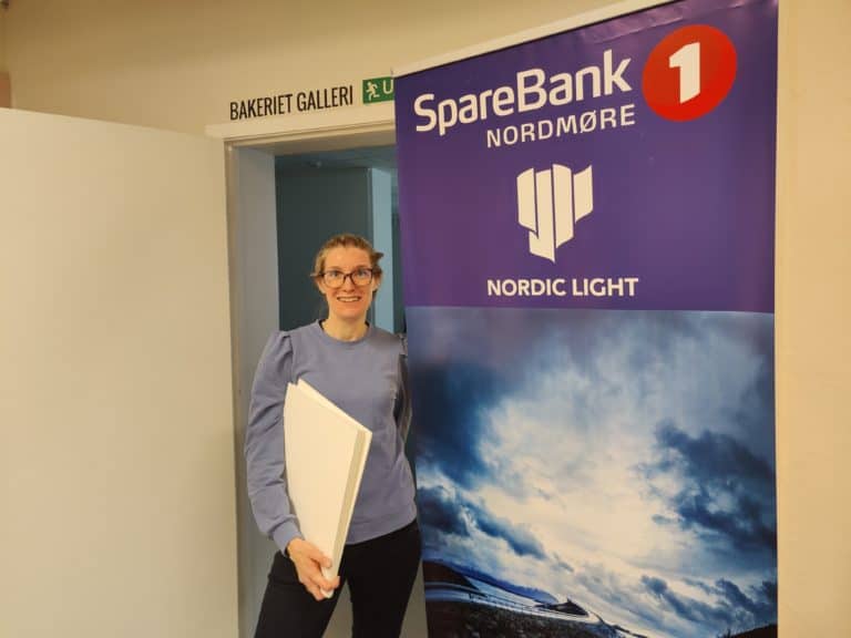 Nordic Light søker frivillige til fotofestivalen