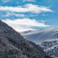 Bilde av snøkledte fjell og skoger av gran og furu