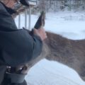 Svein Gjengstø på Frei i Kristiansund kommune sammen med hjorten Klara, som han har opparbeidet et tillitsforhold til i løpet av to år. Foto: Svein Gjengstø