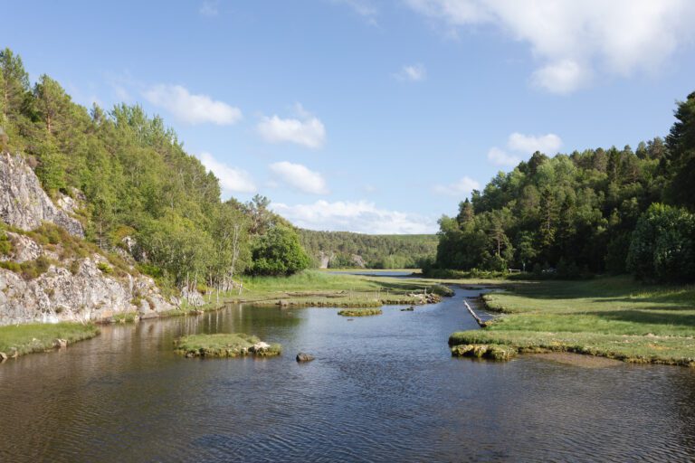 Gløsvågen naturreservat – ett av få og som utgjør en liten del av vernet areal i Kristiansund. Foto: Steinar Melby / KSU.NO