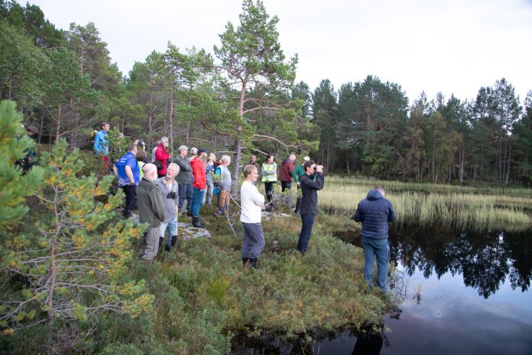 Naturvernforbundet, i samarbeid med blant annet BirdLife Norge, arrangerte ekskursjon i området rundt Stabeldammen, dagen før saken skulle opp i bystyret i Kristiansund. Flere kommunestyrepolitikere og andre interesserte var til stede. Foto: Steinar Melby, KSU.NO