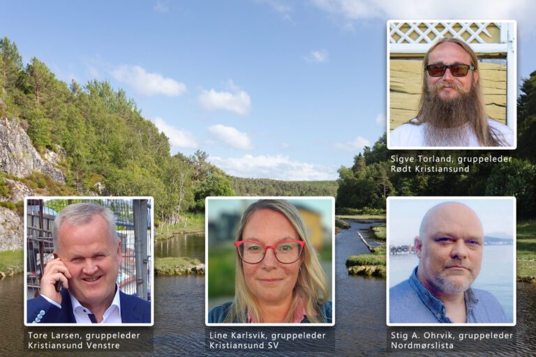 Gruppeledere i politiske partier i Kristiansund , kommenterer Naturkampen og Kristiansunds dårlige plassering i denne undersøkelsen som måler landets kommuner på bevaring av naturmangfold. Bakgrunnsfoto fra en av de få naturreservatene i Kristiansund, Gløsvågen: Steinar Melby, KSU.NO
