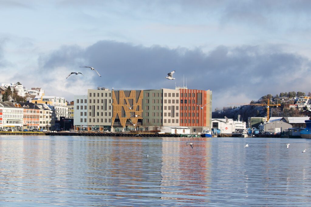 Krykkjer ved Tahitibrygga i Kristiansund med Campus i bakgrunnen. Foto: Steinar Melby, KSU.NO