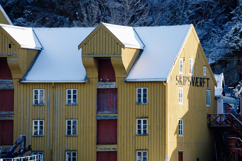 Krykkjer på brygger i Vågen i kristiansund. Foto: Steinar Melby, KSU.NO