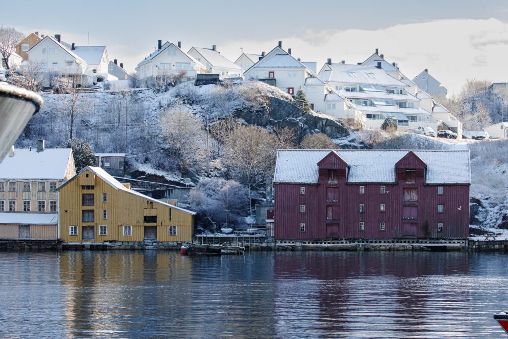Krykkjer på brygger i Vågen i kristiansund. Foto: Steinar Melby, KSU.NO