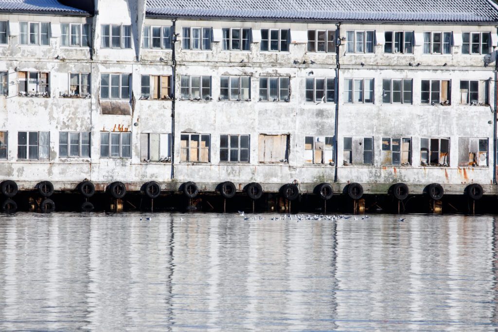 Krykkjer ved gamle bygg på Gomalandet i Kristiansund. Foto: Steinar Melby, KSU.NO