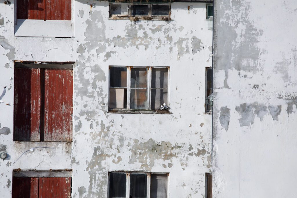 Krykkjer ved gamle bygg på Gomalandet i Kristiansund. Foto: Steinar Melby, KSU.NO