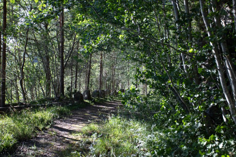 Gammelveien langs Gylhamran i Tingvoll kommune, før anleggsarbeidet startet. Foto: Steinar Melby
